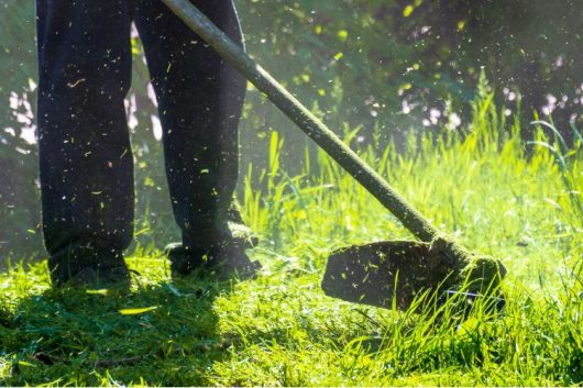 Árajánlat kérése fűnyírási és parkápolási munkára